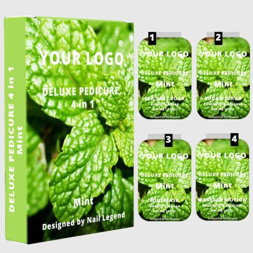 4 in 1 Deluxe Vegan Pedicure Kit in Box Spa Professional Salt Soak Sugar Scrub Mud Mask – product detail view, wholesale