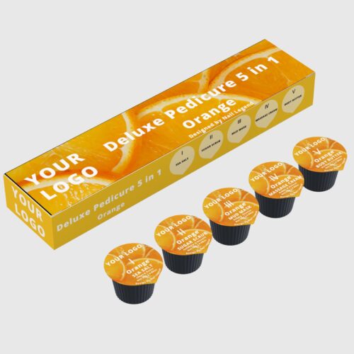 5-in-1 Deluxe Vegan Pedicure Kit in professional salon use – wholesale for spas and distributors